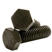 500081346